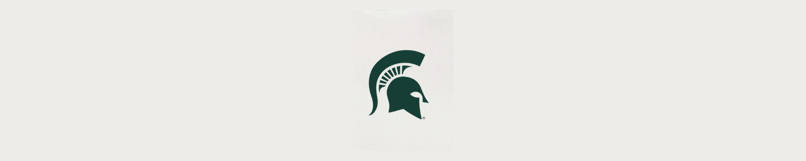 Michigan State